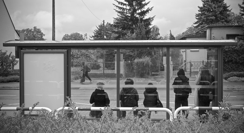 Kuba Złapał Kadr – zdjęcie 11